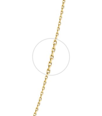 Cadena Ancla Oro